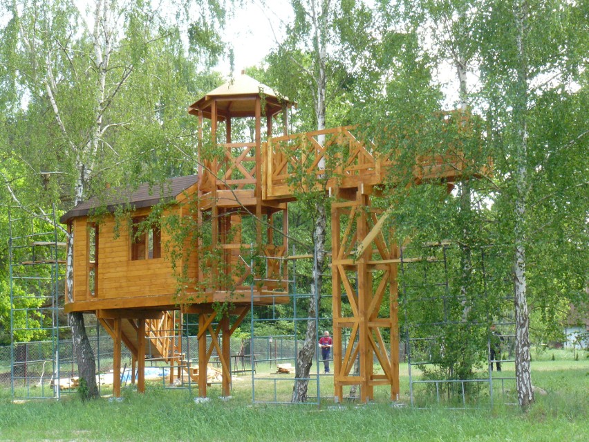 Konstrukcja domu do zabaw
Domek na drzewie podczas budowy