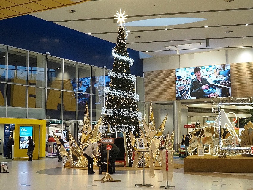 Które sklepy będą czynne w Wigilię? Godziny otwarcia sklepów w Łodzi 23 i 24 grudnia. Jak pracują sklepy przed świętami?