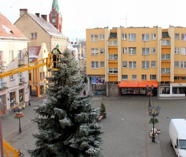 Choinka w ŚwiebodzinieChoinka już stoi