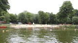 Sinice w Strykowie i na Stawach Stefańskiego w Łodzi, enterokoki w Piotrkowie Trybunalskim. Pierwsze kąpieliska w sezonie 2022 już zamknięte