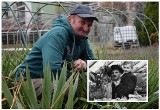 Gorlice. Brokuły i kapustę pekińską zjadły krowy i króliki - wspomina Roman Oleszkowicz, gorlicki ogrodnik z półwiecznym doświadczeniem