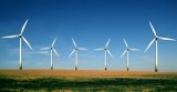 Pod Jedlińskiem ma powstać nowa farma wiatrowa z 17 wielkimi turbinami!