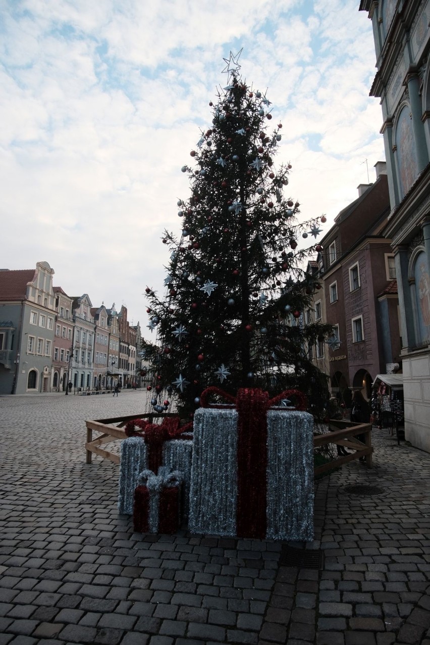 Ozdoby świąteczne na Starym Rynku w Poznaniu