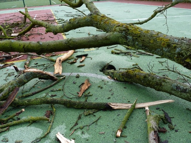 Gałęzie zniszczyły sztuczną nawierzchnię boiska.