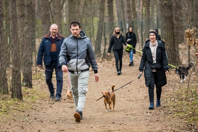 Pierwszy spacer edukacyjny z psami pod przewodnictwem trenera Mikołaja Karaszewskego odbył się w dwóch małych (oddzielnych) grupach w sobotę (27 marca 2021 r.) leśnymi ścieżkami Myślęcinka