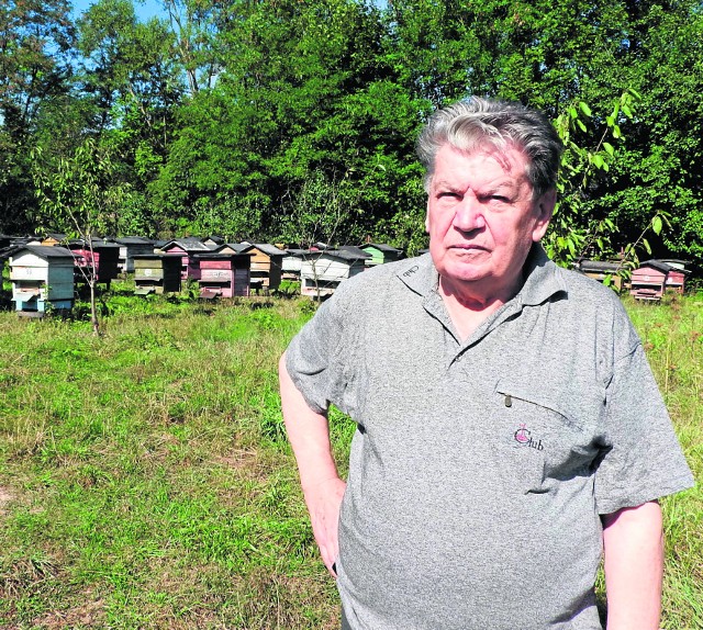 82-letni Mieczysław Jamróz hoduje pszczoły od 65 lat i zapewnia, że są zupełnie niegroźne