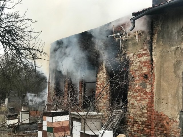 Pożar stolarni w Opolu