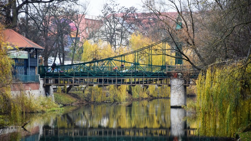 Most Groszowy w Opolu znów jest zielony