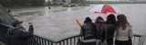 Powódź na Opolszczyźnie. Prognozowane poziomy wody na Odrze i fala kulminacyjna w najbliższych godzinach. Komunikat hydrologiczny
