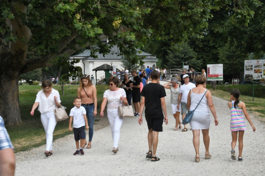 Labirynt z Kukurydzy w Kurozwękach oficjalnie otwarty. Na turystów czeka rycerz (WIDEO, zdjęcia)