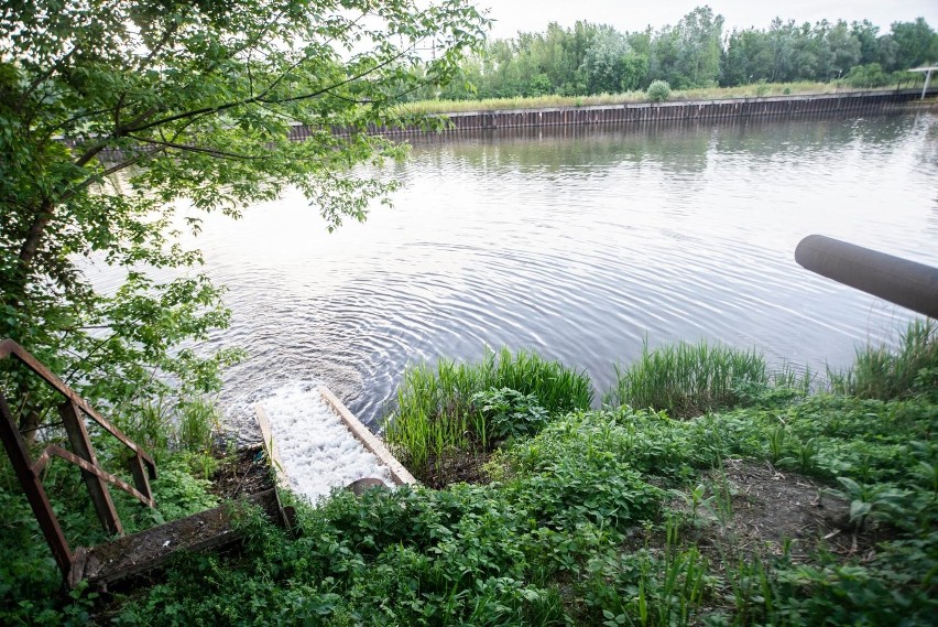 Kraków. Śledczy zajmą się sprawą odpadów w Nowej Hucie