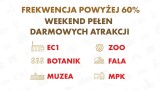 Łódź. Obiecują atrakcje za darmo lub złotówkę za frekwencję wyborczą. Co będzie można zobaczyć, gdzie będzie się można wybrać po wyborach?