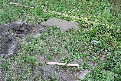 41 -latek zatłukł psa siekierą pod Wojkowicami. Twierdzi, że był chory