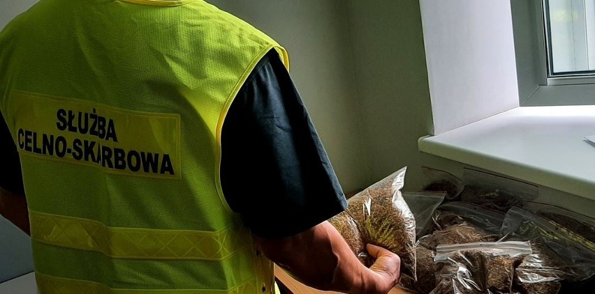 Toruń. Na Chełmińskim Przedmieściu skonfiskowano nielegalny tytoń. Były tam też narkotyki. 47-latek zatrzymany