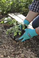  Rękawice do pracy w ogrodzie - jakie wybrać