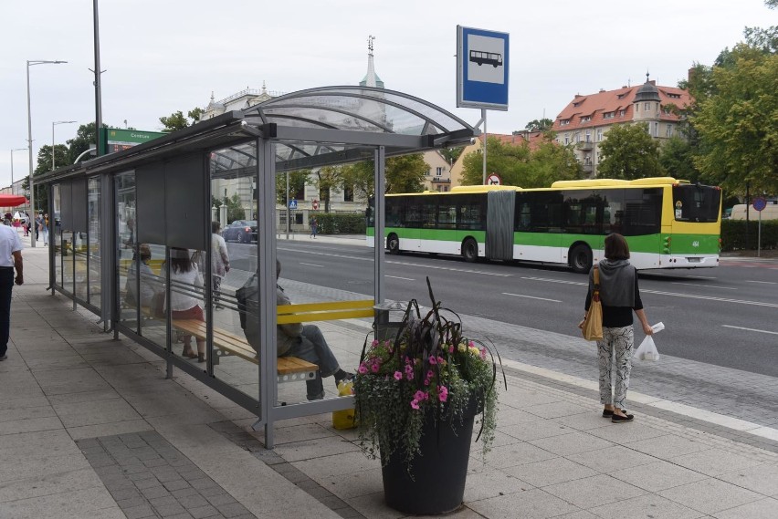 Sprawdź, co zmieni się w rozkładzie jazdy MZK w Zielonej...