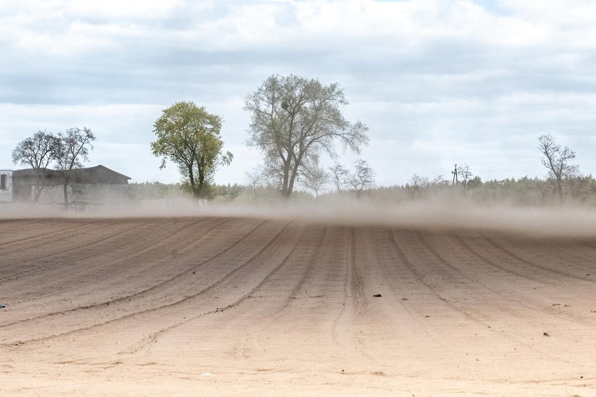 Prognoza pogody na wiosnę 2023. Będzie susza w Łodzi i regionie? Pierwsze prognozy powinny uspokoić rolników 9.03.2023