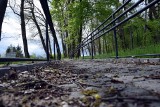 Ścieżka rekreacyjna na obrzeżach parku w Trzebielinie. Jakie są kolejne plany (ZDJĘCIA) 