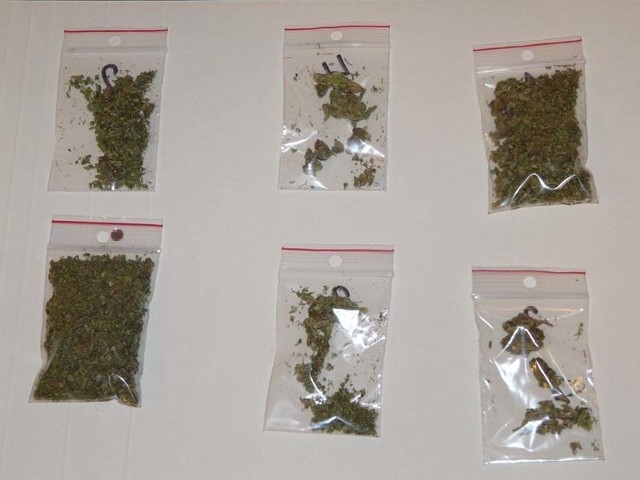 Marihuana znaleziona przy zatrzymanych.