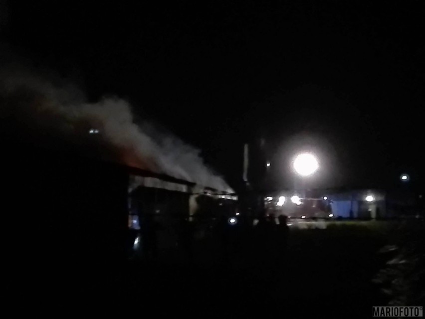 Pożar kurnika w Michałówku.