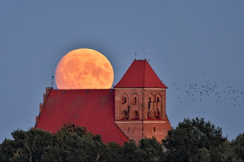 Kalendarz "Dziennika Bałtyckiego" na 2023 rok. Znamy laureatów