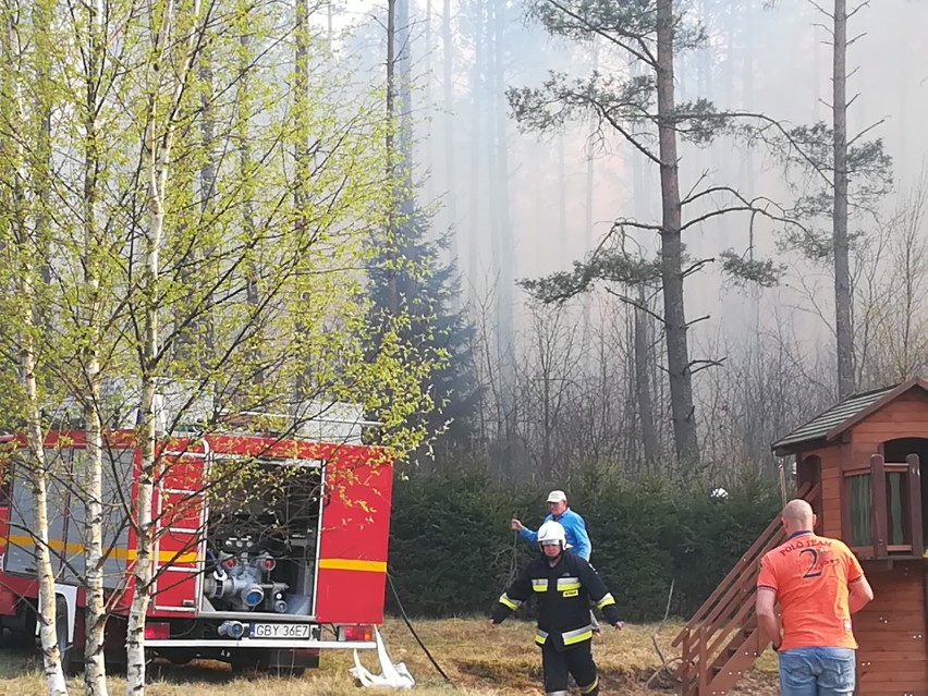 Olbrzymie pożary lasów i nieużytków w powiecie bytowskim. W...