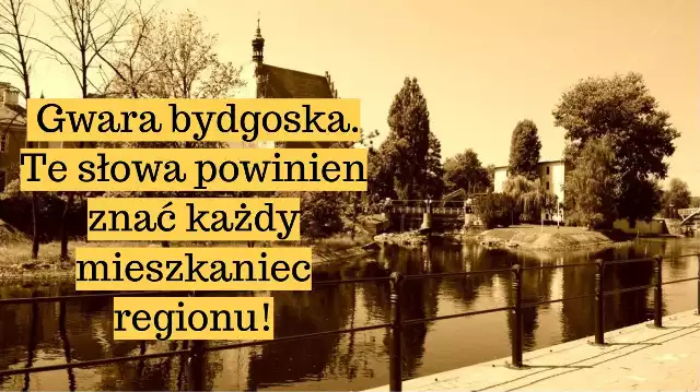 Gwara bydgoska cały czas cieszy się ogromnym zainteresowaniem internautów. Poznaj słowa gwary w naszej galerii.źródło: Firtel Bydgoski