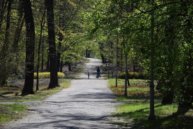 Park Kościuszki w Katowicach