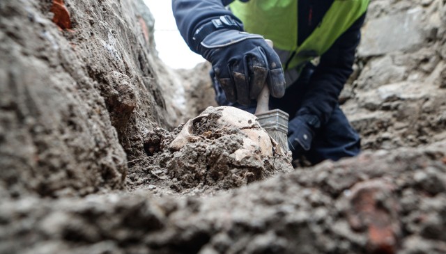 Podczas wykopalisk na ul. 3 Maja archeolodzy natrafili na szkielety datowane na XVI - XVIII wiek