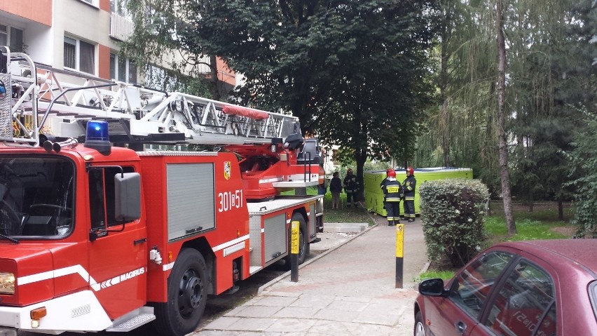 Wrocław: Policja i straż pod wieżowcem na Litomskiej. To z powodu awantury (FOTO)