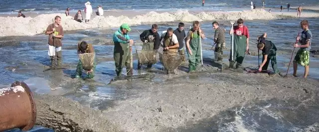 Robotnicy i zbieracze. W Łebie trwa refulacja brzegu plaży i poszukiwania bursztynów. Fot. Edyta Litwiniuk