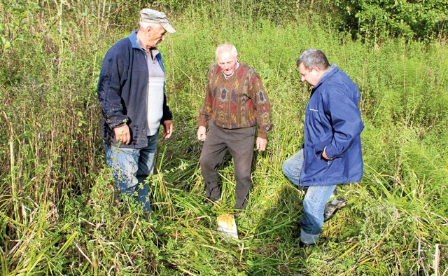 W tym miejscu miała przebiegać obiecana przez Starostwo Powiatowe w Rzeszowie droga, którą rolnicy z Harty mieli dojeżdżać do swoich pól. Zamiast drogi są tylko wbite graniczniki.