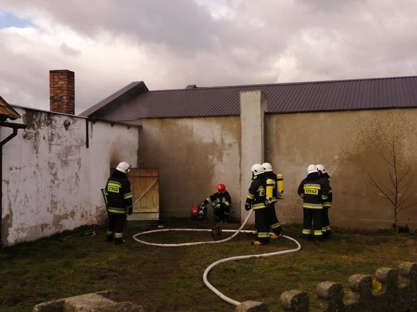 Pożar w Dłutowie. Paliło się w kotłowni. Wszystko przez rozgrzany popiół