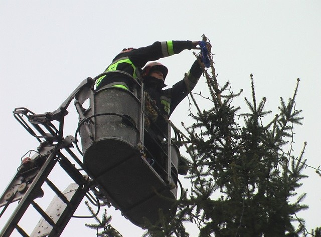Pierwsze ozdoby na czubku drzewka zawiesili strażacy z gorzowkiej komendy