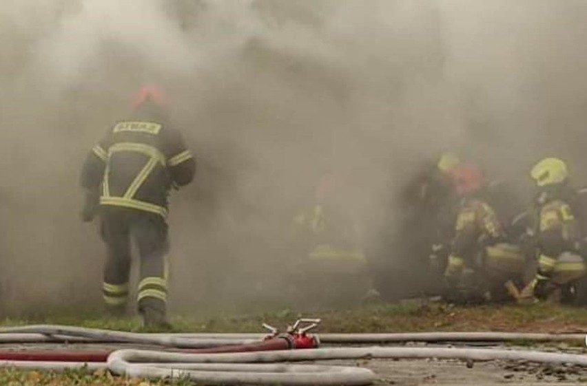 W wielkim pożarze w Turzy Śląskiej spłoneła hala magazynowa.