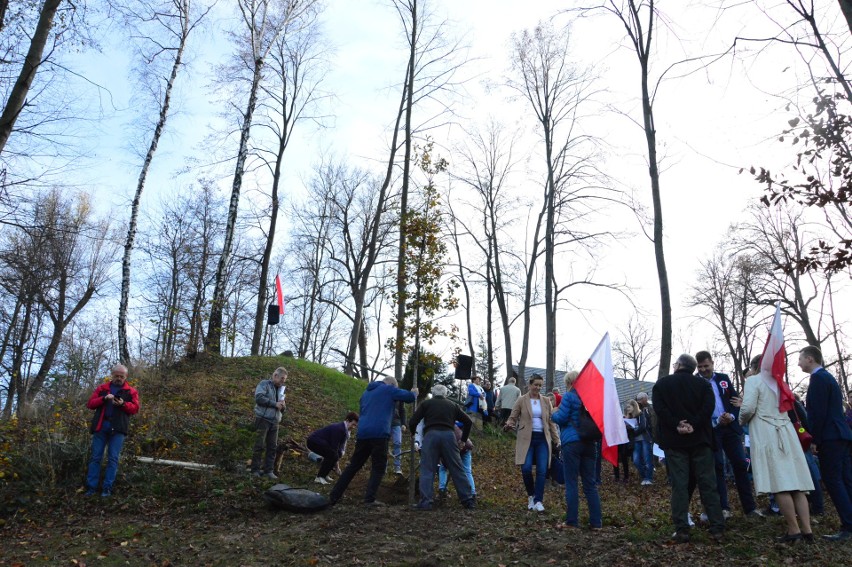 Na kopcu Piłsudskiego zasadzono dąb „Józef”