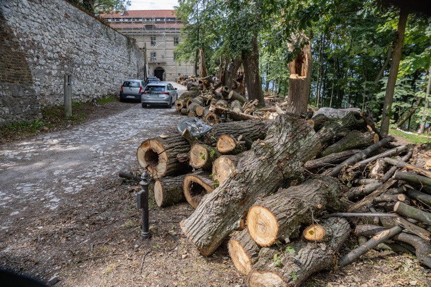 Tak wygląda wjazd do opactwa tynieckiego. Skutki niedawnej nawałnicy