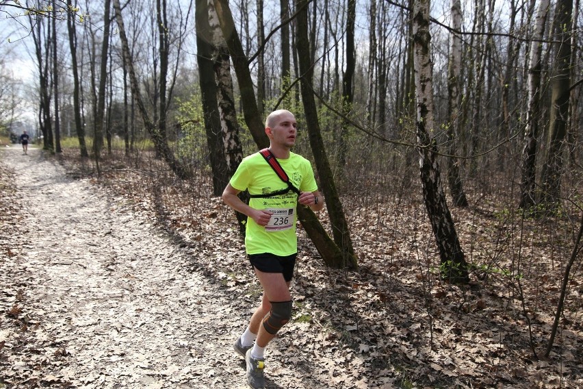 Park Śląski: W Biegu Górskim wystartowało ok. 400 biegaczy [ZOBACZ ZDJĘCIA]