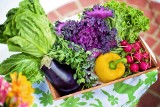 Te warzywa i owoce możesz uprawiać na balkonie! Jak poradzić sobie z brakiem ogródka? Jakie warzywa można uprawiać na balkonie?