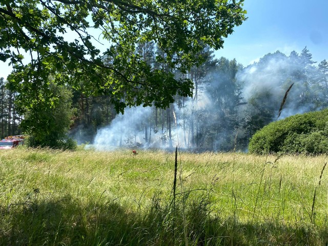 W sobotę w godzinach popołudniowych strażacy zostali wezwani do pożaru lasu w okolicach miejscowości Lubieszewo w powiecie drawskim.