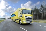 Pierwszy w Polsce, nowy DAF XG trafił do firmy Regesta w Pińczowie. To ich ciężarówka numer 1000 ! [WIDEO, ZDJĘCIA] 
