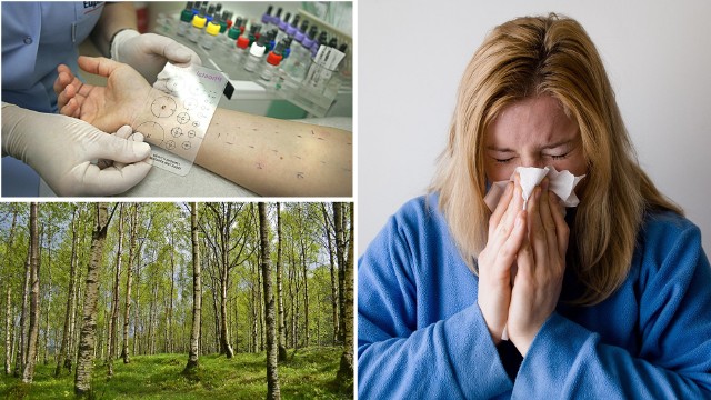 Alergia coraz mocniej daje się we znaki pacjentom. Wszechobecne pyłki to prawdziwa udręka dla alergików. Katar i kaszel to ich codzienność