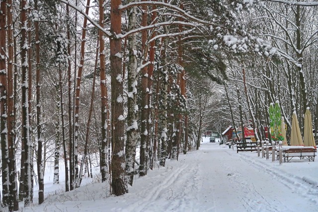 Zalew Nakło-Chechło zimą. Zobaczcie zdjęcia naszej fotoreporterki. Zobacz kolejne zdjęcia. Przesuwaj je w prawo - naciśnij strzałkę lub przycisk NASTĘPNE >>> 