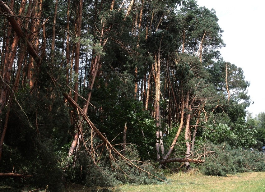 Burza w Białobrzegach