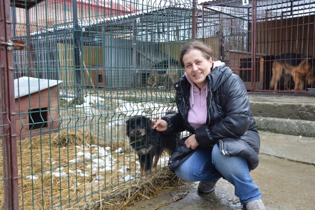 Dorota Hauben-Kołodziej uważa, że bezdomne psy z Brzeska powinny zostać w Rzezawie