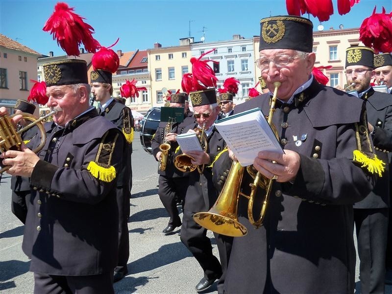 Dziewięć zespołów wystąpiło w pokazach.