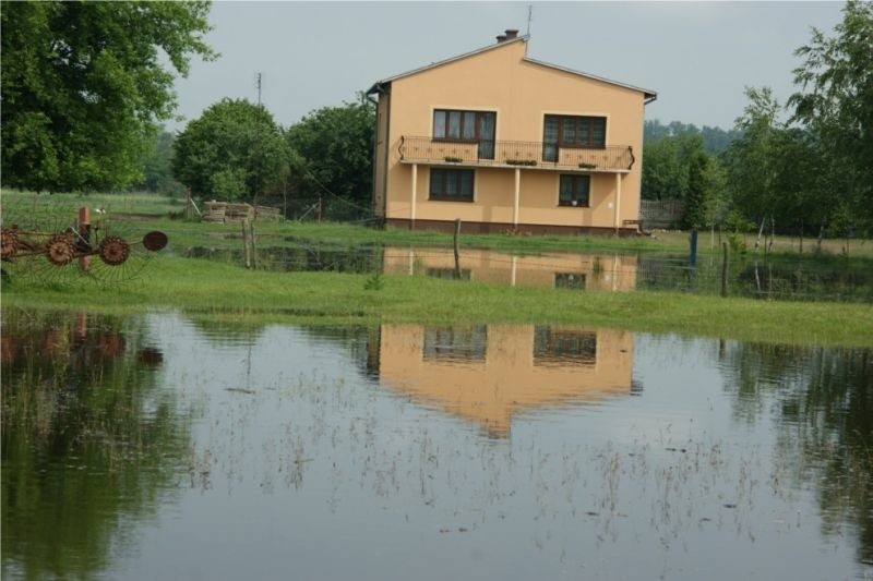 W Budach Brankowskich zalane są łąki. Wysokiej wody boją się...