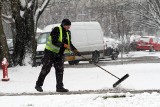 Śnieżna zima wróciła do Wrocławia. Na jak długo? [ZDJĘCIA, PROGNOZA]