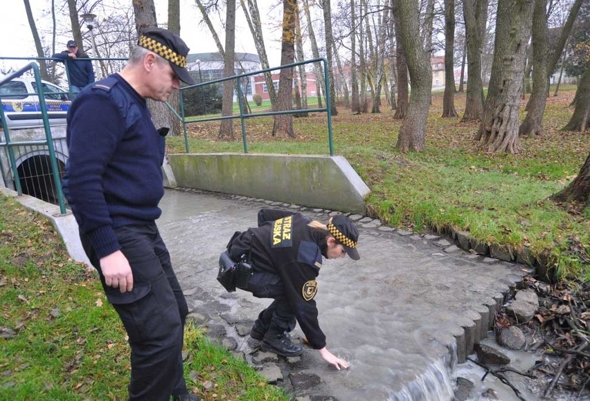 Kolektor zbiera wody opadowe z południowej części...