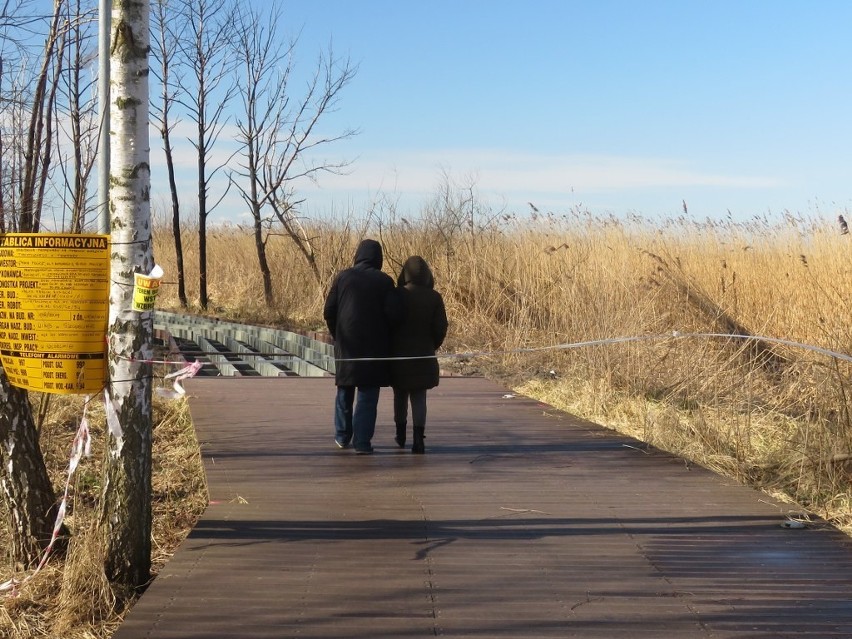 Tak powstaje promenada w Trzebieży